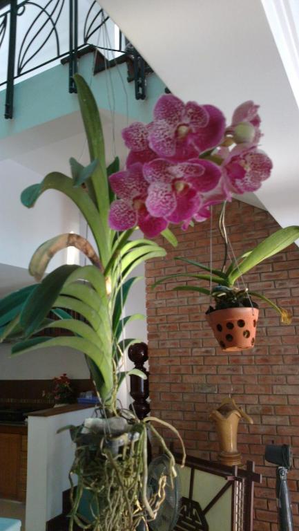 Flower Garden Homestay Хойан Экстерьер фото